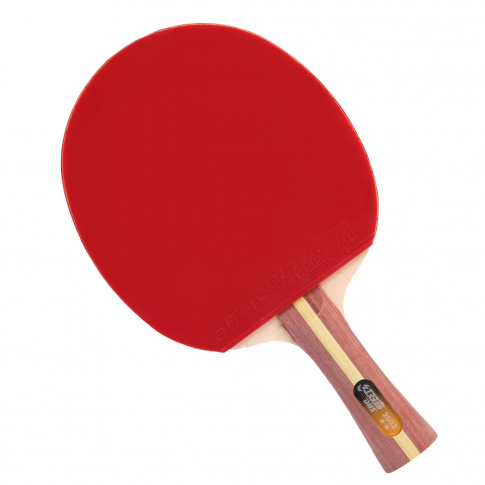 Raquete Tenis Mesa Ping Pong Profissional + 2 Bolas Oficiais em Promoção na  Americanas