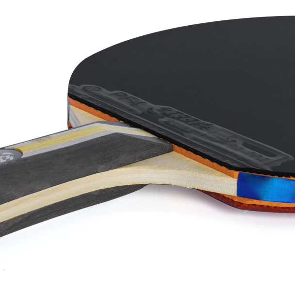 Raquete de Tênis de Mesa DHS H3002 Clássica