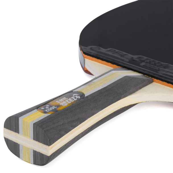 Raquete de Tênis de Mesa DHS H3002 Clássica