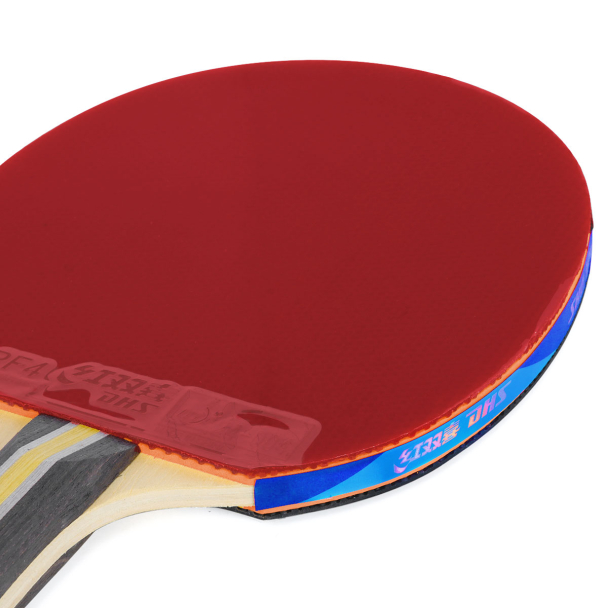 Raquete de Tênis de Mesa DHS H3002 Clássica