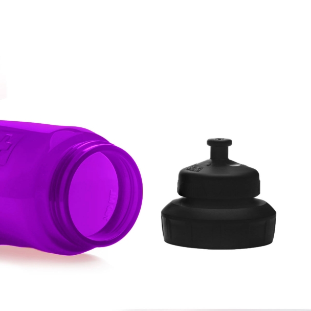 Garrafa Siggs Swiss Sigg Viva 3ST 750 ml Roxa